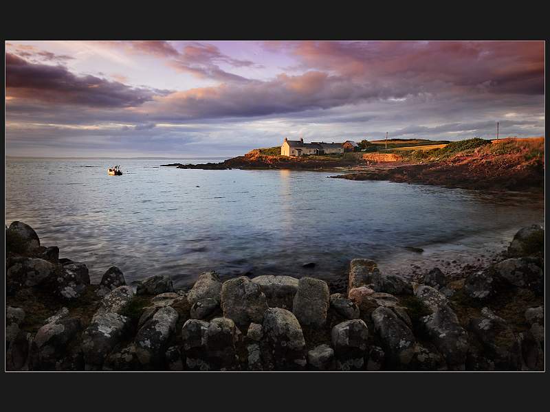Terri Thorpe - After the Rain St Brides.jpg